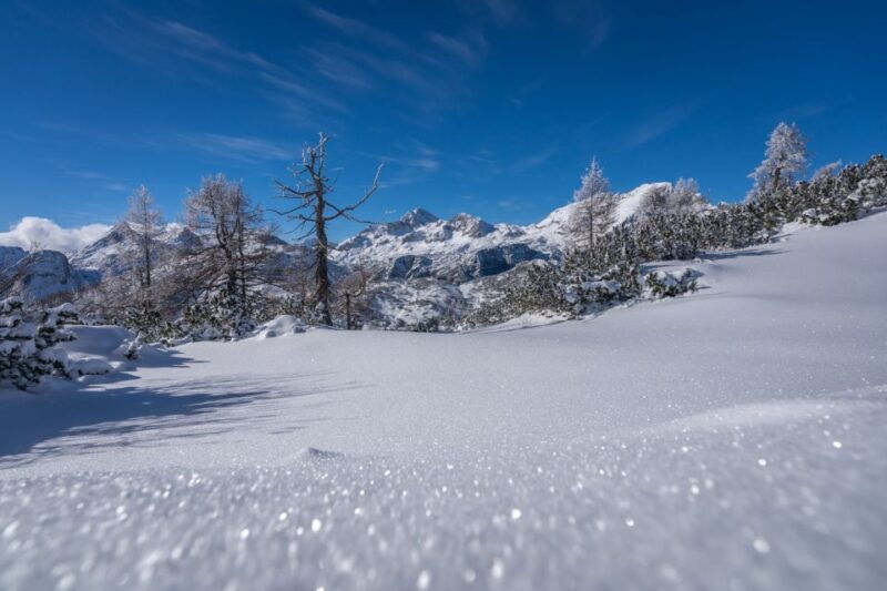 from-bled-day-trip-to-julian-alps-hiking-with-local-guide