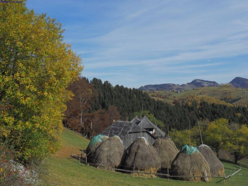 from-brasov-romanian-mountain-villages-day-tour
