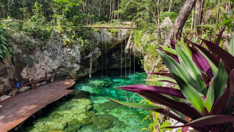 from-cancun-day-trip-to-tulum-cenote-playa-del-carmen
