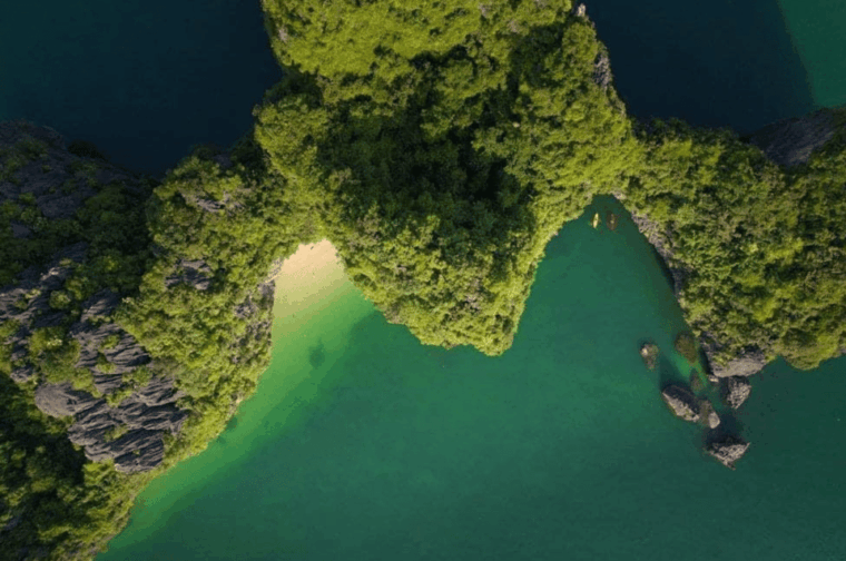 from-catba-lan-ha-bay-on-serenity-premium-cruise