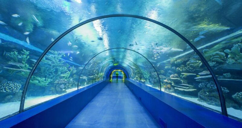 from-city-of-side-antalya-aquarium-full-day-trip