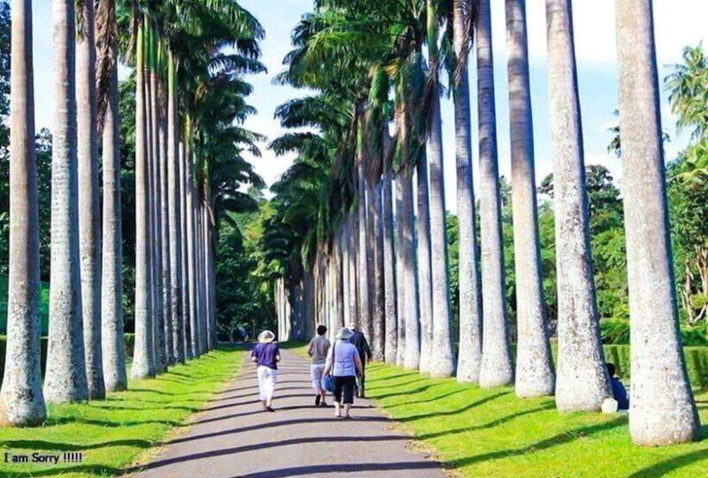 from-colombo-2-day-nuwara-eliya-kandy-and-sigiriya-tour