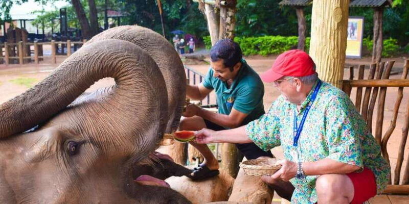 from-colombo-kandy-pinnawala-orphanage-short-excursions