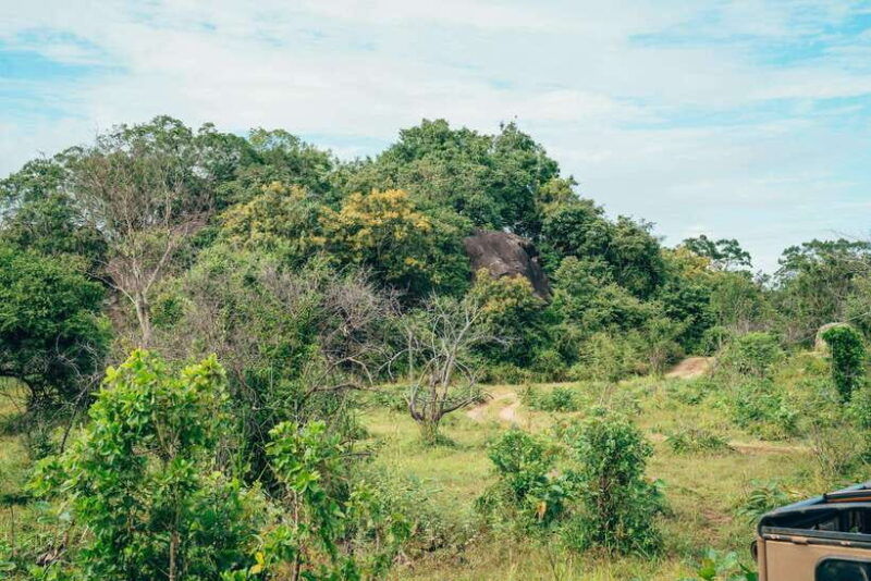 from-colombo-sigiriya-rock-dambulla-minneriya-safari