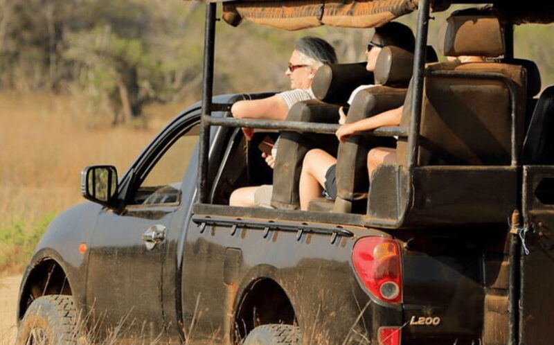 from-colombo-wilpattu-national-park-safari