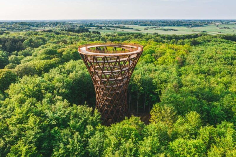 from-copenhagen-round-trip-to-mons-klint-and-forest-tower