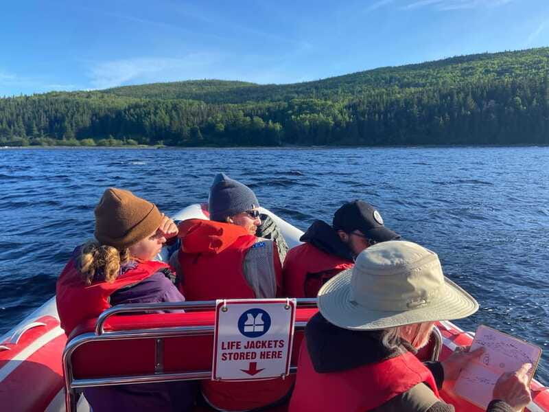 from-corner-brook-bay-of-islands-island-zodiac-boat-tour