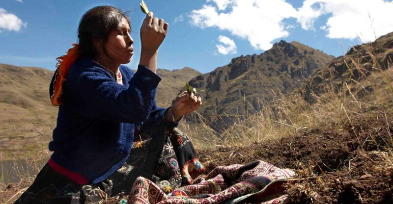 from-cusco-indigenous-potato-farm-cultural-experience