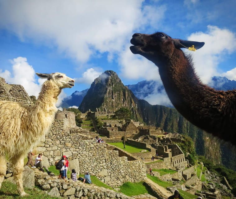 from-cusco-machu-picchu-tour-1-day-by-train-lunch