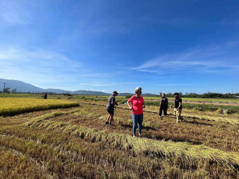 from-dalat-mui-ne-countryside-and-white-sand-dunes-tour