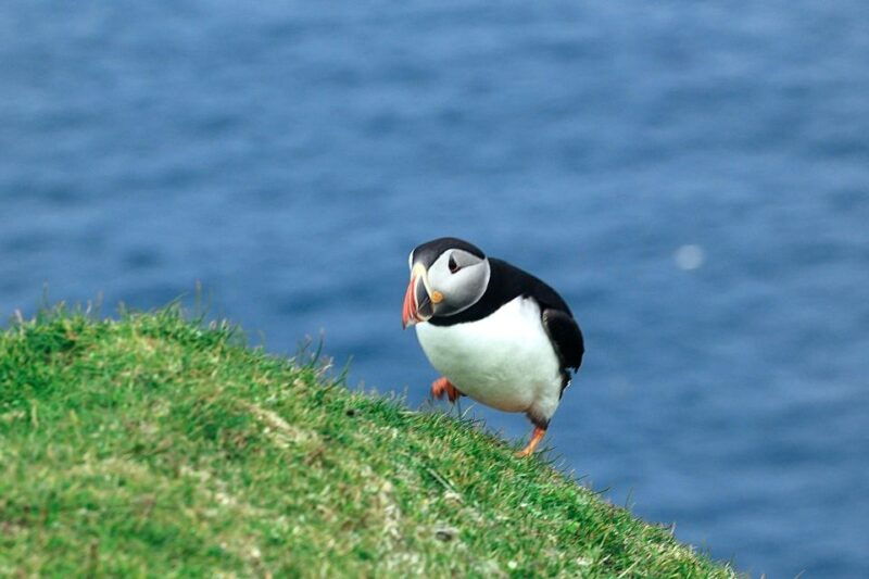 from-edinburgh-6-day-shetland-nothernmost-explorer