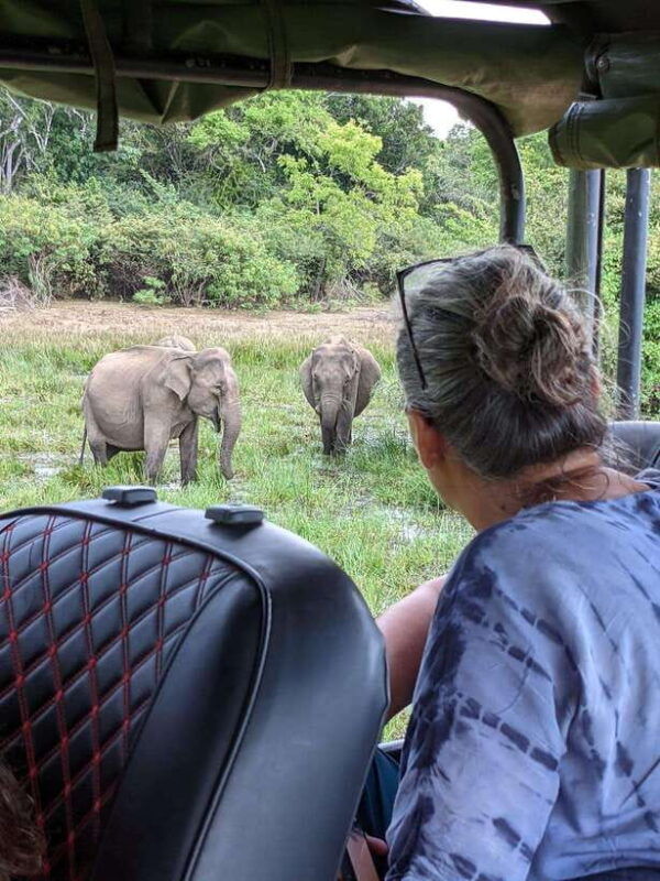 from-ella-udawalawa-safari-drop-hikkaduwa-galle-mirissa