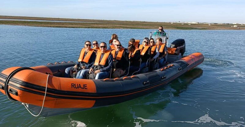 from-faro-dolphin-watching-wildlife
