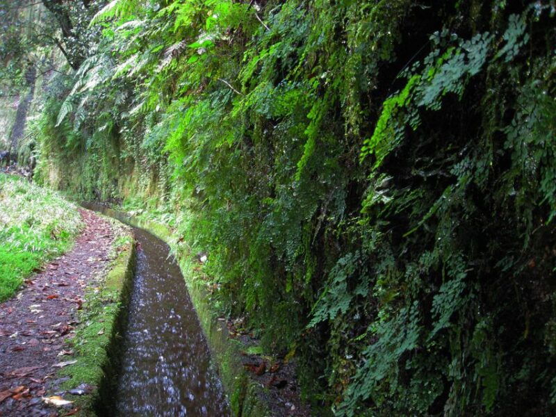 from-funchal-sao-jorge-valleys-levada-walk