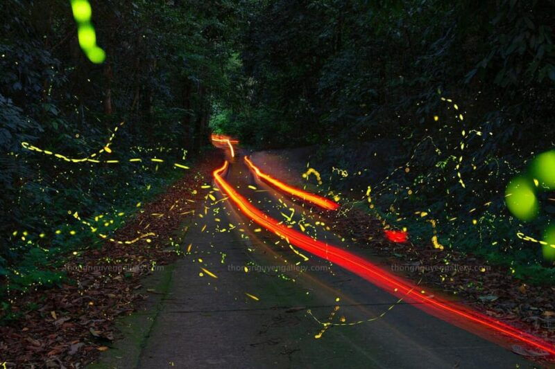 from-hanoi-explore-fresh-nature-see-wild-animal-fireflies