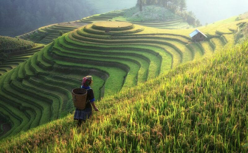 from-hanoi-explore-sapa-2-day-tour
