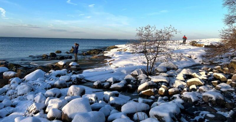 from-helsinki-archipelago-excursion-in-porkkalaniemi