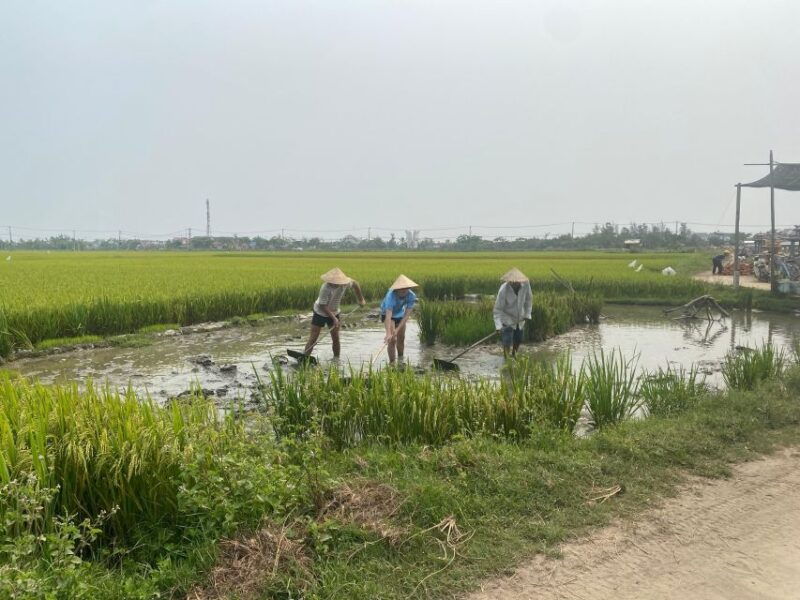 from-hoi-an-tour-the-countryside-of-hoi-an-by-vespa