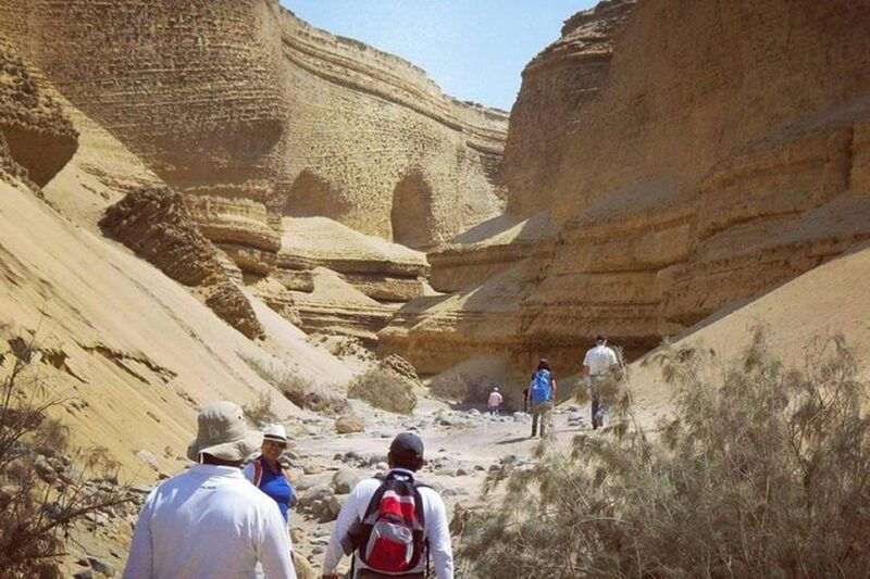from-ica-huacachina-canyon-de-los-perdidos-full-day