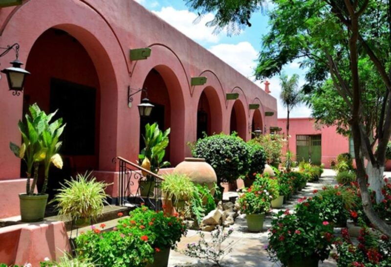 from-ica-tour-to-wine-and-pisco-vineyards-free-tasting