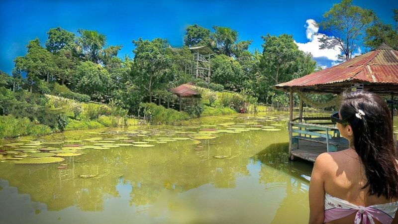 from-iquitos-3-day-amazon-jungle-adventure-trip