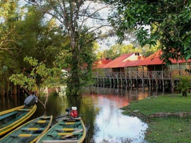 from-iquitos-tour-to-the-amazon-nanay-and-momon-rivers