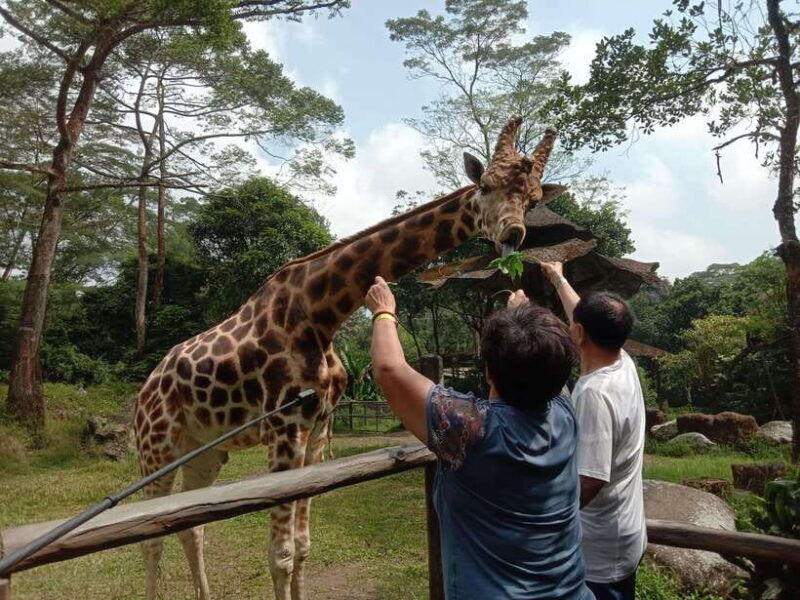 from-jakarta-private-taman-safari-day-tour