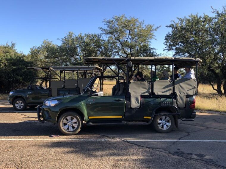 from-johannesburg-pilanesberg-wildlife-safari