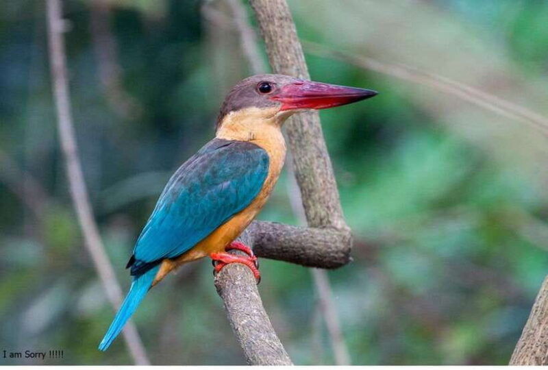 from-kalutaraexclusive-galle-dutch-fort-madu-river-safari