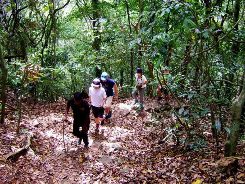 from-kandy-bird-watching-tour-to-udawatte-kele-sanctuary
