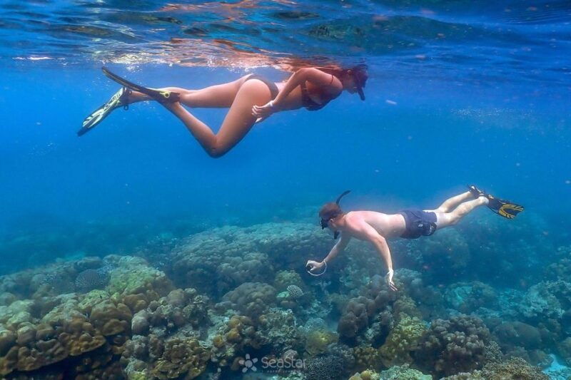 from-khao-lak-surin-islands-snorkeling-tour-w-meals