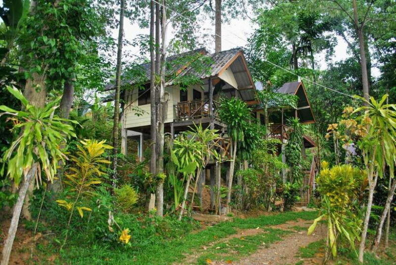 from-krabi-2-day-khao-sok-jungle-safari-with-overnight-stay