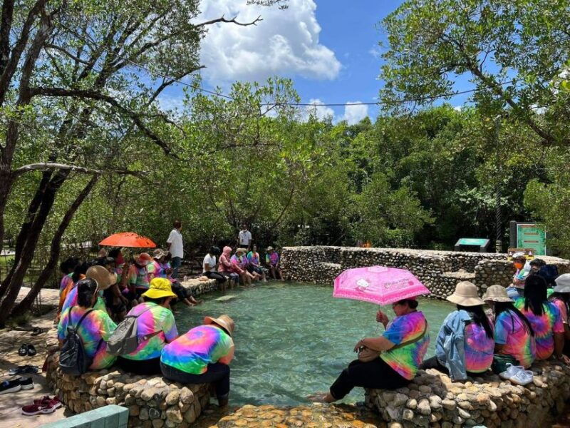 from-krabi-khlong-thom-saltwater-hot-spring-and-museum-tour