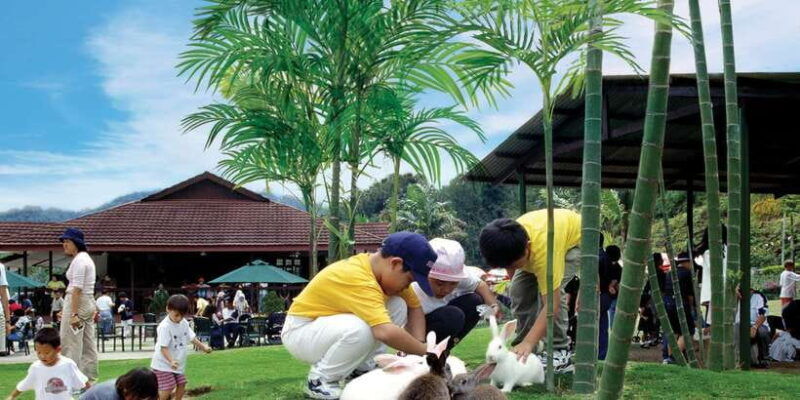 from-kuala-lumpur-colmar-tropicale-and-batu-caves-day-trip