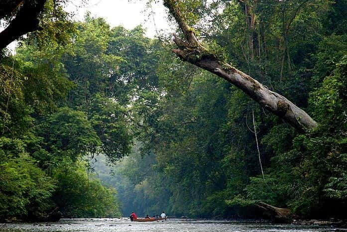 from-kuala-lumpur-full-day-tour-to-taman-negara