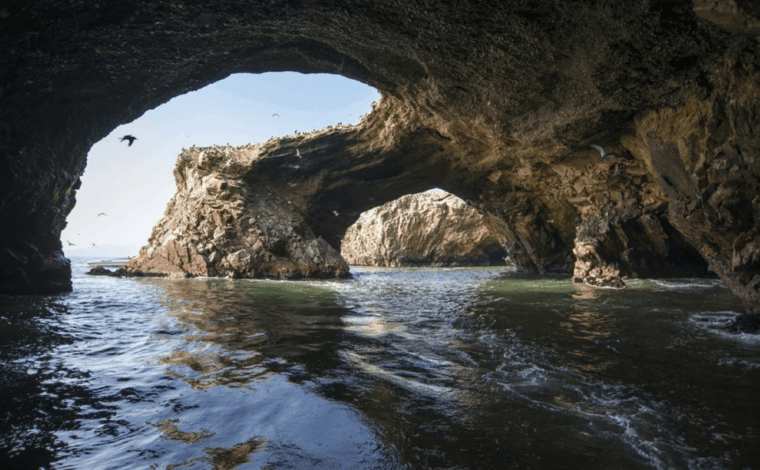 from-lima-ballestas-islands-nazca-line-and-ica-tour-1-day