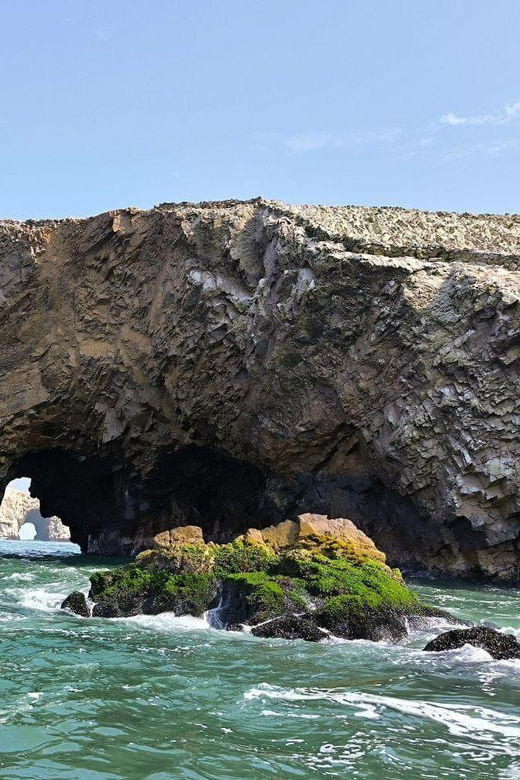 from-lima-full-day-paracas-ica-2