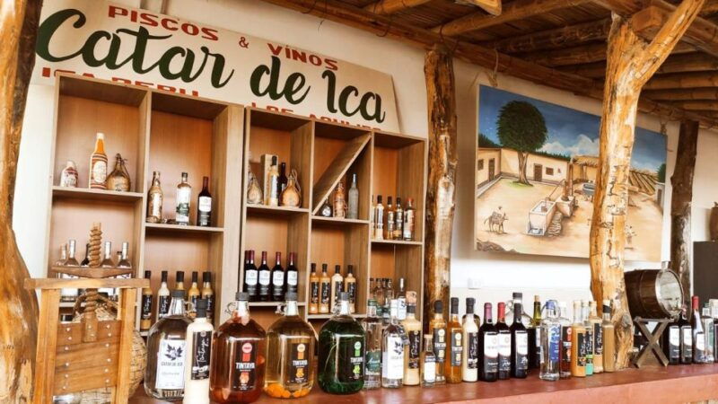 from-lima-full-day-tour-of-paracas-and-huacachina-oasis