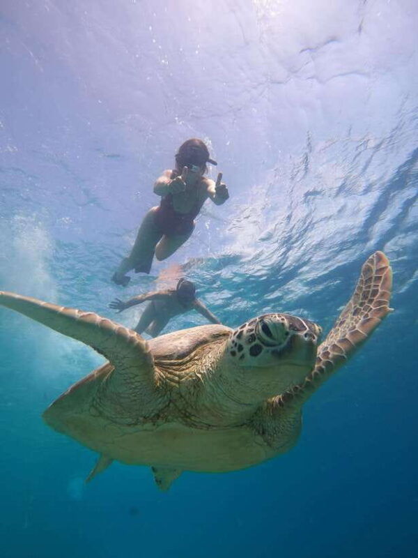 from-lombok-gili-islands-snorkeling-day-trip