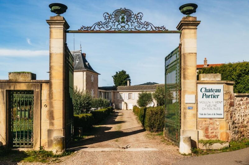 from-lyon-beaujolais-region-wine-tour-with-tastings