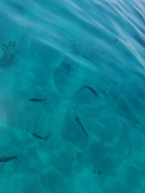 from-marseille-frioul-islands-boat-tour