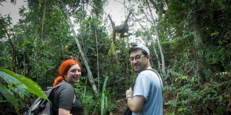 from-medan-mount-leuser-national-park-full-day-trip-2