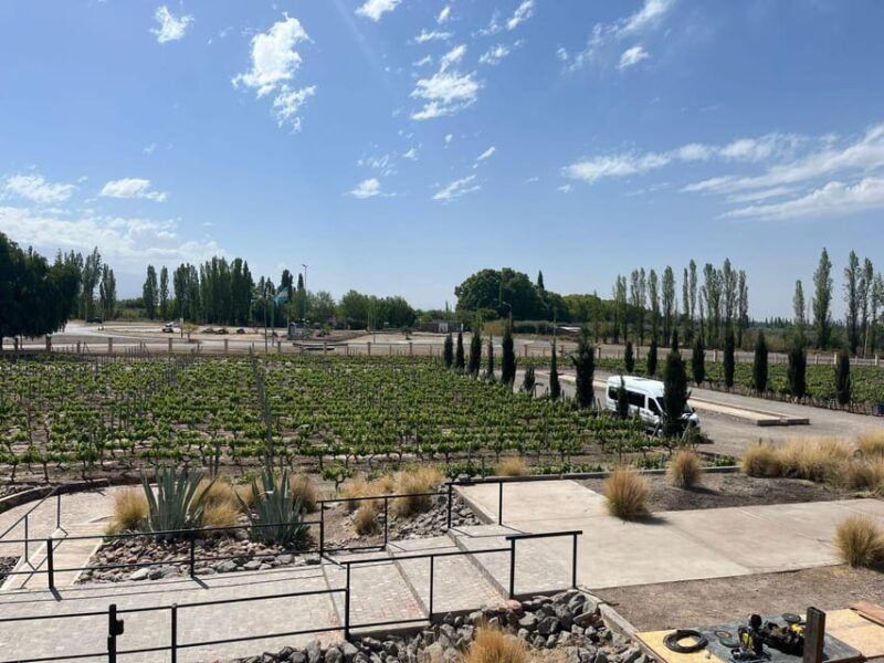 from-mendoza-3-wineries-olive-oil-factory-tour-tasting