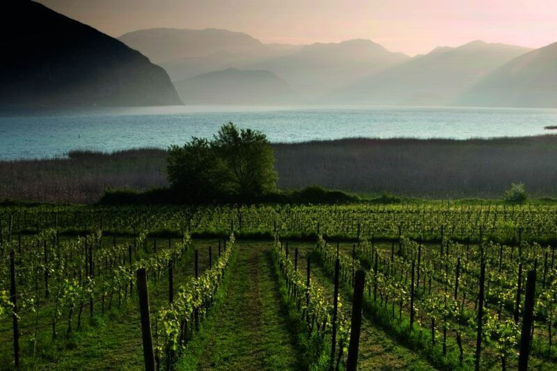 from-milan-full-day-in-franciacorta-2-wineries-lunch