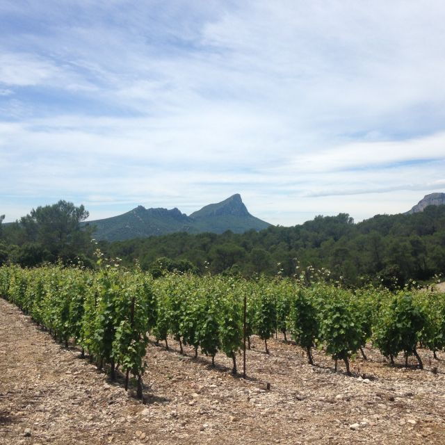 from-montpellier-pic-saint-loup-wine-and-food-tour