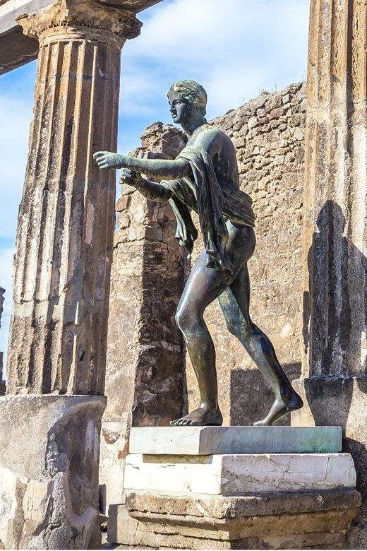 from-naples-port-vesuvius-and-pompeii-tour-with-tickets