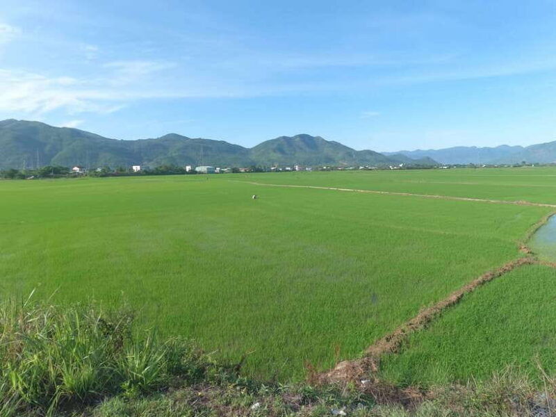 from-nha-trang-3-days-da-lat-tour-with-hotel-pickup