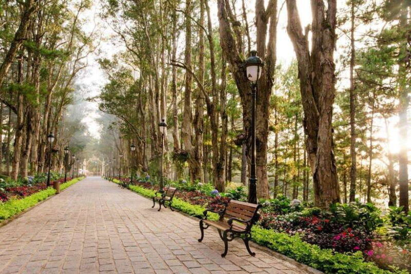 from-nha-trang-visit-da-lat-1-day-vip
