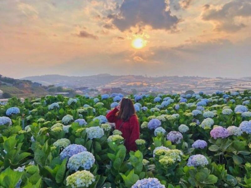 from-nha-trang-visit-da-lat-1-day
