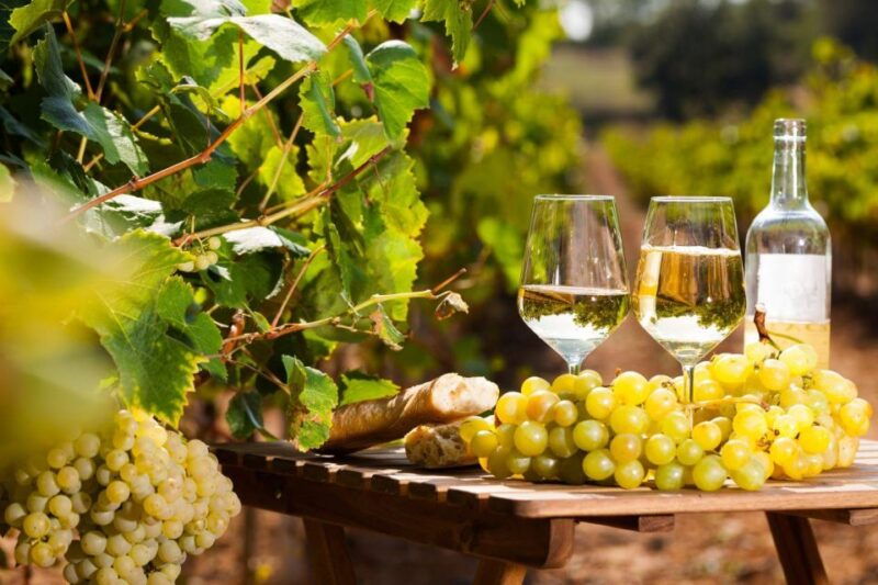 from-nice-antibes-st-paul-de-vence-tour-with-wine-tasting